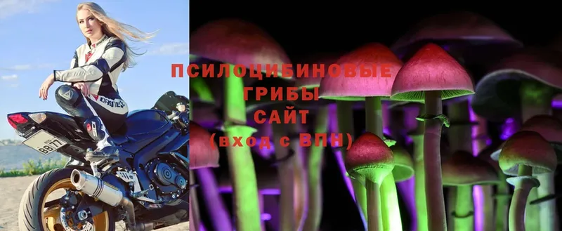 Псилоцибиновые грибы Magic Shrooms  KRAKEN как зайти  Нерюнгри 